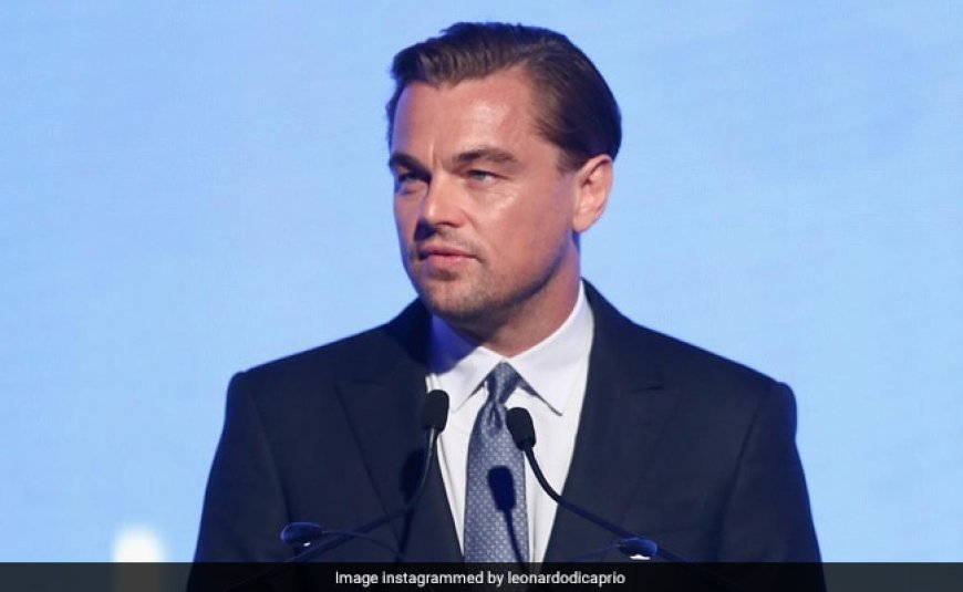 "Visit Kaziranga And Assam": Himanta Sarma After Leonardo DiCaprio's Post