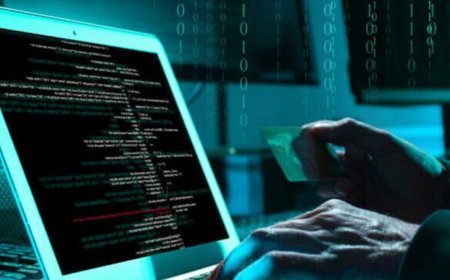 സൈബർ തട്ടിപ്പ്: കൂടുതൽ പണം പോയത് ബംഗളൂരുവിന്, ആകെ നഷ്ടമായത് 363 കോടി