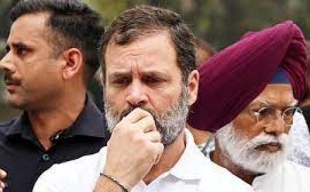 Rahul Gandhi disqualified as MP after conviction in defamation case