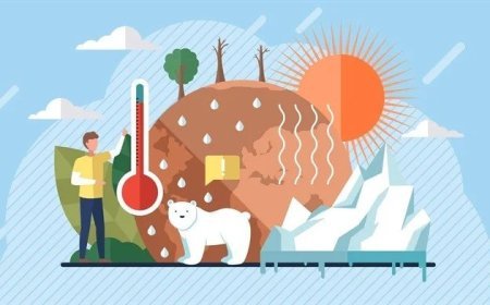 Climate change: Understanding the health risks and mitigating the effects