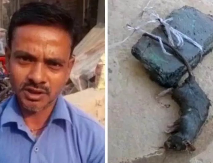 എലിയെ വാലിൽ കല്ലുകെട്ടി വെള്ളത്തിൽ മുക്കിക്കൊന്ന യുവാവിനെതിരെ 30 പേജുള്ള കുറ്റപത്രവുമായി യു പി പൊലീസ്