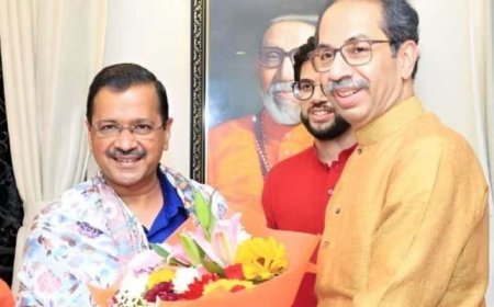 Delhi Govt Vs Centre: After Mamata, Kejriwal To Meet Sharad Pawar, Uddhav
