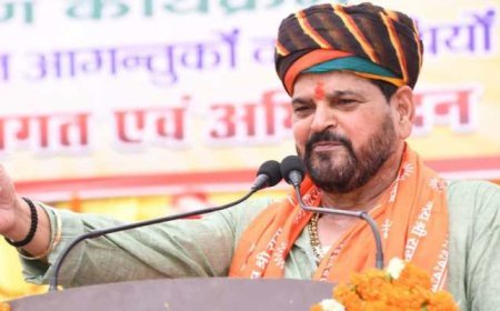 'Even Donald Trump Faced Same Problems': WFI Chief On Sexual Harassment Allegations