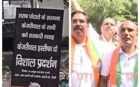 Delhi: BJP Puts Up Hoardings Calling For Kejriwal's Resignation After ED Raids AAP's Sanjay Singh