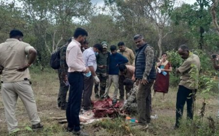 ‘Poacher’ shot dead in encounter with Karnataka forest officials inside Bandipur Tiger Reserve
