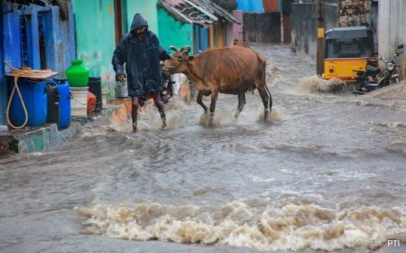 Heavy Rain Batters Tamil Nadu, Schools Shut, Several Trains Cancelled