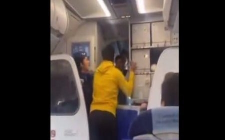 IndiGo Passenger Hits Pilot Amid Delay Announcement