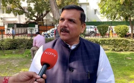 Rajya Sabha Chairman Blocks AAP Leader's Oath, Cites Privileges Case