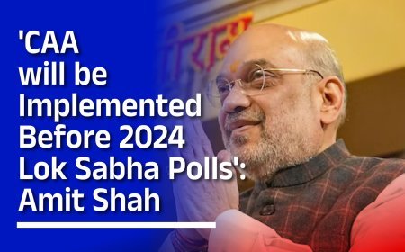 'CAA Will Be Implemented Before 2024 Lok Sabha Polls': Amit Shah