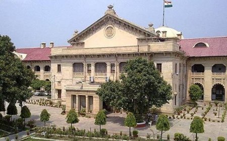 Conversion required not only for marriage but also for live-in relationships: Allahabad HC