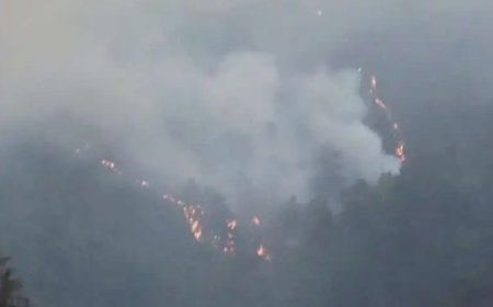 Japan urges 400 to evacuate over forest fire