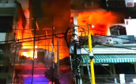 Unqualified Staff, Expired Licence: Delhi Police Find Lapses at Facility Where 7 Babies Died in Blaze