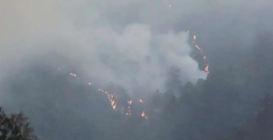Japan urges 400 to evacuate over forest fire