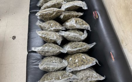 Two Thai Women Arrested for Smuggling 27.08 Kg Ganja at IGI Airport