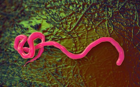 Uganda: Ebola spreads again; Ten confirmed cases in treatment