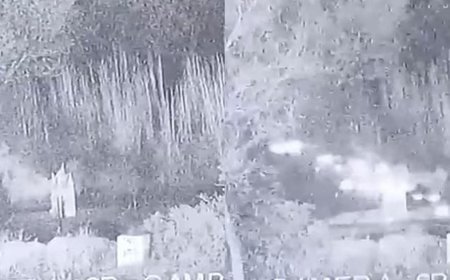 बीएसएफ ने सांबा में पाकिस्तानी रेंजर्स की मदद से घुसपैठ की कोशिश कर रहे 7 जैश आतंकवादियों को मार गिराया; जीवित बचे लोगों की खोज