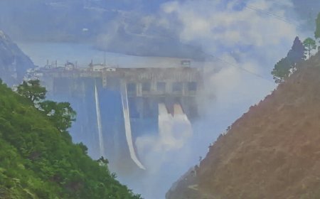 भारत ने सलाल बांध के और द्वार खोले; पाकिस्तान में बाढ़ का खतरा