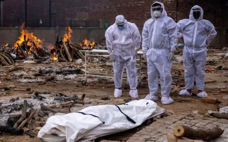 2 million more people died from Covid in 2021 than reported! Center releases figures;