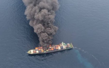 Gunpowder, acids, and lithium batteries found inside burning Singapore ship; 154 containers reportedly contain hazardous materials