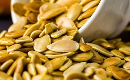 Pumpkin Seeds: For Sleeplessness and Immune System
