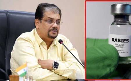 The rabies vaccine lobby is active in Kerala too, Biju Prabhakar says the vaccine lobby needs the stray dog problem to remain