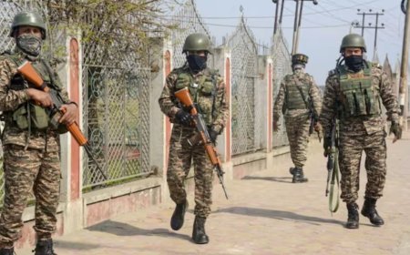 Two Terrorists Killed in Jammu: Army foils infiltration bid in Jammu and Kashmir; Two terrorists killed, search continues
