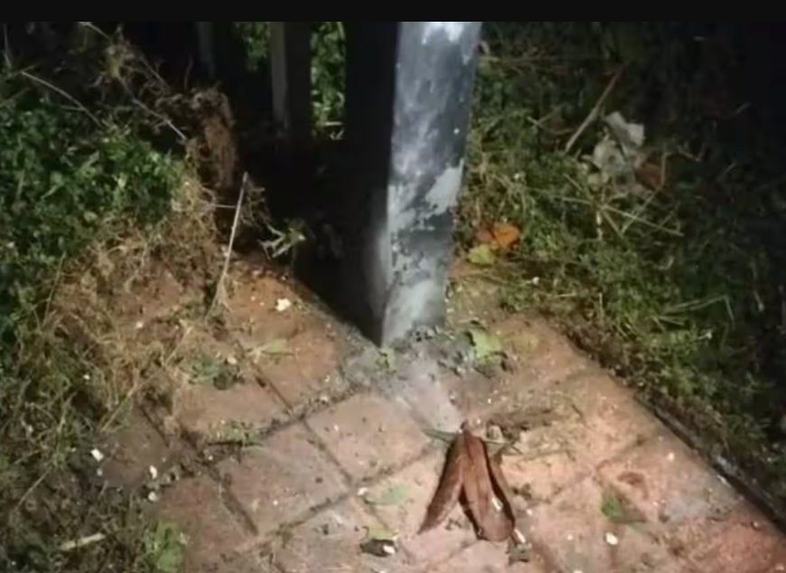 Explosive thrown in front of housewife's house who rented out a room to BJP Mandal Committee office in Kannur